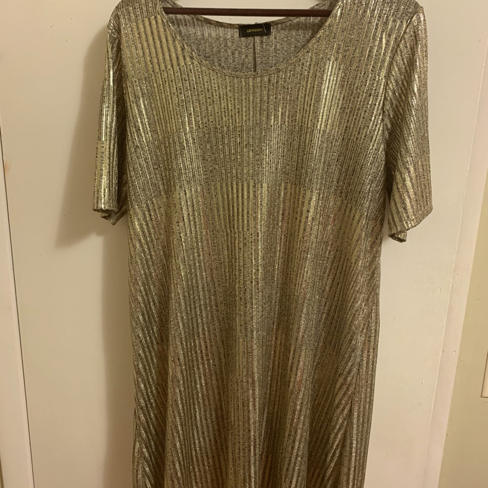 1x party dress!